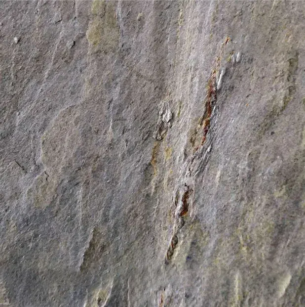 DESERT ROCK Lankstus akmuo — natūralus akmuo